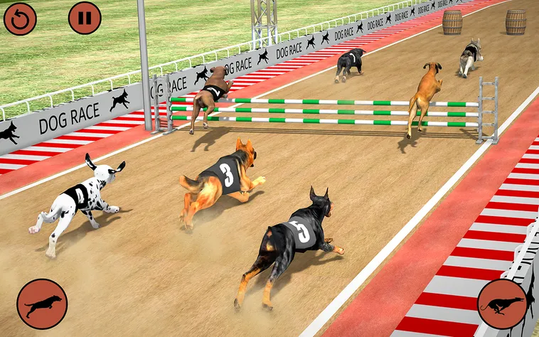 Cách Chơi Game Nhanh Đua Chó Tại AE888 Hiệu Quả Cho Người Mới Bắt Đầu